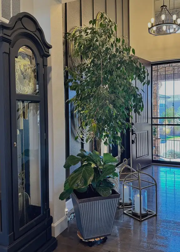 Painting Services, Highlands Ranch, CO Painting Services, Highlands Ranch, CO